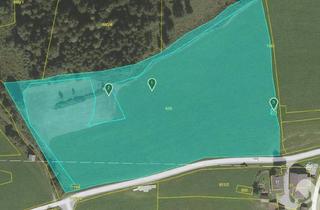 Grundstück zu kaufen in 8967 Haus, 2 Ha Landwirtschaftlicher Grund am Petersberg bei Haus im Ennstal