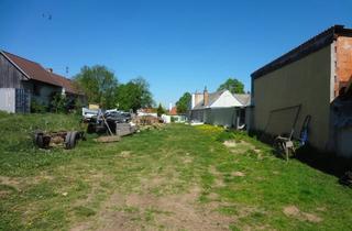 Grundstück zu kaufen in 7374 Weingraben, GROSSES, LEISTBARES GRUNDSTÜCK MIT STADL!
