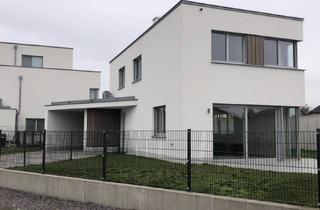 Haus mieten in 3452 Atzenbrugg, MODERNES WOHNEN AM FÖHRENSEE IN TRASDORF INMITTEN DER NATUR AN FELDER DER REGION ANGRENZEND