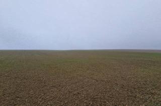 Grundstück zu kaufen in 2002 Großmugl, TOLLE ACKERFLÄCHE IN SÜDSEITIGER AUSRICHTUNG MIT GUTER BONITÄT IN GROßMUGL