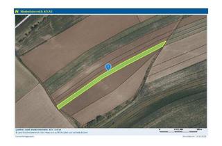 Grundstück zu kaufen in 2000 Stockerau, KLEINE ACKERFLÄCHE MIT GUTER BONITÄT IN STOCKERAU