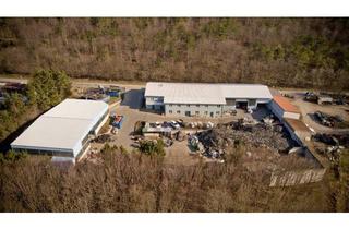 Immobilie mieten in 7012 Zagersdorf, Lager- und Produktionsflächen zur Miete!