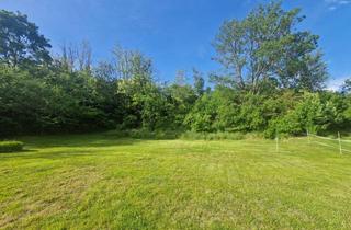 Grundstück zu kaufen in 2011 Sierndorf, NEUER PREIS: BAUEN UND WOHNEN MIT AUS- UND FERNBLICK DIREKT AN FELDER ANGRENZEND IN AUSGEZEICHNETER WOHNLAGE IM NAHBEREICH VON WIEN UND KORNEUBURG