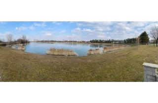 Grundstück zu kaufen in 3452 Atzenbrugg, BAUGRUNDSTÜCK AM FÖHRENSEE IN TRASDORF INMITTEN DER NATUR AN FELDER DER REGION ANGRENZEND