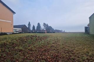 Grundstück zu kaufen in 3474 Altenwörth, GELDANLAGE OHNE BAUZWANG