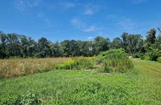 Grundstück zu kaufen in 3464 Hausleiten, EINE SELTENE GELEGENHEIT IN DER MARKTGEMEINDE HAUSLEITEN - ZUSAMMENHÄNGENDE LANDWIRTSCHAFTLICHE FLÄCHE MIT EIGENEM BRUNNEN IN ZAINA