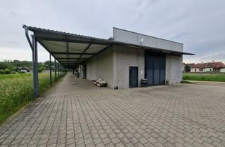 Immobilie mieten in 3465 Königsbrunn am Wagram, RARITÄT: MODERNE WEINKELLEREI ZUR LANGFRISTIGEN MIETE