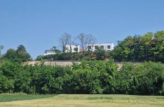 Einfamilienhaus kaufen in 3463 Stetteldorf am Wagram, HERRLICHER AUSBLICK AN DER WAGRAMKANTE: MODERN, MASSIV & HOCHWERTIG WOHNEN IN DER WEINREGION MIT BESTER INFRASTRUKTUR