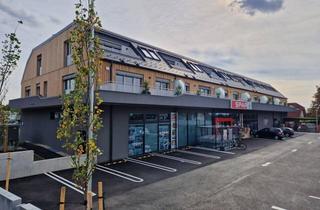 Wohnung kaufen in 3470 Kirchberg am Wagram, BEFRISTETE PREISREDUKTION: HELLE FAMILIENWOHNUNG MIT HERRLICHER WESTSEITIGER SONNENTERRASSE - PROVISIONSFREI - SCHLÜSSELFERTIG INKL. BAD UND OPTIONAL MIT TIEFGARAGENPARKPLATZ