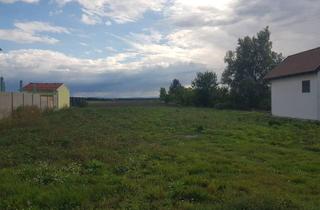 Grundstück zu kaufen in 3462 Absdorf, RARITÄT: BAUGRUNDSTÜCK IN ABSDORF OHNE BAUZWANG IN UNVERBAUBARER AUSSICHTSLAGE