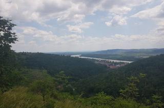 Grundstück zu kaufen in 3500 Krems an der Donau, FREIZEITPARADIES FÜR HOBBYGÄRTNER IN EINZIGARTIGER AUSSICHTSLAGE MIT DONAUBLICK - KEIN BAUGRUNDSTÜCK!