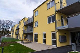 Wohnung mieten in Stockerauer Straße, 2104 Spillern, Attraktive 2-Zimmer-Wohnung mit Balkon in Spillern - Betreuung möglich!