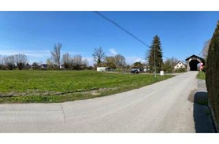 Grundstück zu kaufen in 6972 Fußach, Sonne, Ruhe und nahe am Mittendrin