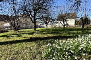 Grundstück zu kaufen in 6845 Hohenems, kleine, in Sackgasse gelegene Liegenschaft perfekt für Ihren Haustraum, in Hohenems zum Verkauf!