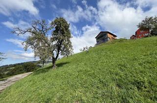 Grundstück zu kaufen in 6836 Viktorsberg, Tolles Grundstück in Hanglage