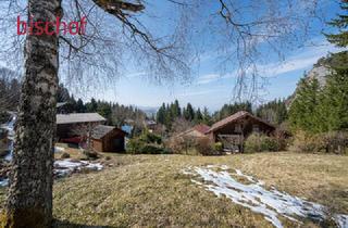 Grundstück zu kaufen in 6845 Hohenems, Idyllisches Grundstück mit Ferienwohnsitzwidmung