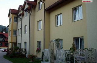 Genossenschaftswohnung in Villenstraße, 2650 Payerbach, Genossenschaftswohnung in Payerbach