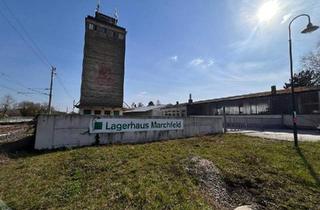 Gewerbeimmobilie kaufen in 2295 Oberweiden, Vielseitiges Gewerbeobjekt - Lagerhaus Areal mit KFZ Werkstatt