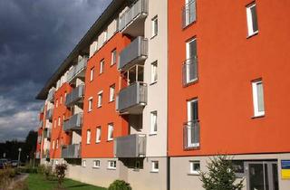 Wohnung mieten in 3300 Amstetten, Amstetten, 3 Zimmer, 77 m² / 00642 00191