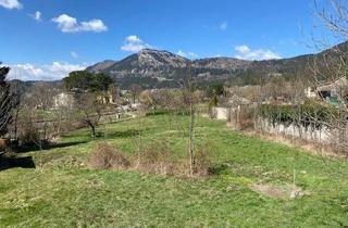 Grundstück zu kaufen in 2733 Grünbach am Schneeberg, Baugrundstück mit angrenzendem Obstgarten