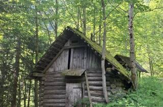 Agrarfläche kaufen in 8614 Sankt Erhard, 33 ha Naturidylle – Waldbesitz mit Fischteich und Hütte