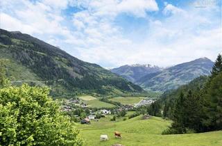 Wohnung kaufen in Winklern 106, 9841 Winklern, Weitblick! Balkonwohnung nähe Großglockner