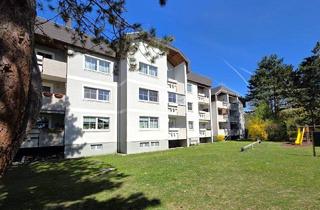 Wohnung mieten in 2821 Lanzenkirchen, Helle 2 Zimmer Wohnung mit Loggia & Stellplatz - Lanzenkirchen