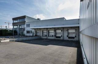 Büro zu mieten in Eitnergasse 15, 1230 Wien, Lager-/Produktionshalle mit 3.000 m² & LKW-Zufahrt in Wien 23 – Provisionsfrei!