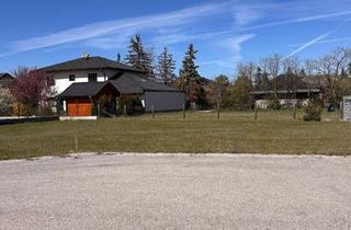 Grundstück zu kaufen in Trielweg, 2601 Eggendorf, gepflegtes Baugrundstück in Eggendorf, Siedlung Maria Theresia Provisionsfrei