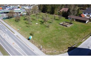 Grundstück zu kaufen in 4572 Sankt Pankraz, MB Grundstück mit Potenzial: Über 6.000 m² direkt neben der Autobahnabfahrt