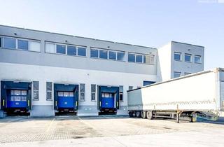Lager mieten in 1300 Mannswörth, Lager- und Büroflächen Direkt am Flughafen Wien