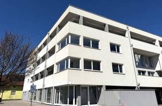 Wohnung mieten in 4060 Leonding, 2‑Zimmer Gartenwohnung im Zentrum