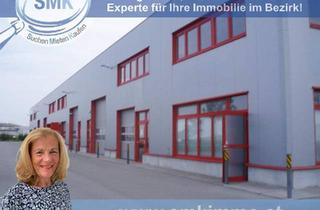 Büro zu mieten in 2521 Trumau, RARITÄT – GERÄUMIGE HALLE IN TRUMAU!