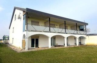 Wohnung mieten in 7100 Neusiedl am See, RENDITEHAUS 8 - Gesamtanmietung von 8 Ferienapartments in Neusiedl am See