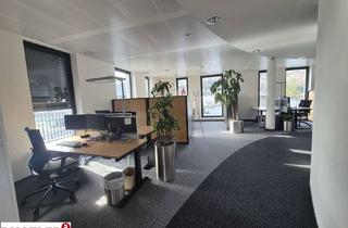 Büro zu mieten in 5101 Bergheim, MODERNE BÜROFLÄCHE IN BERGHEIM