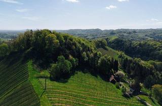Gewerbeimmobilie kaufen in Kranachberg, 8462 Gamlitz, Außergewöhnliche Liegenschaft im Weinparadies – Ihre Visionen werden Realität!