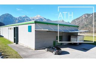 Büro zu mieten in 6262 Schlitters, Produktionshalle für Lebensmittelverarbeitung mit Kühlflächen und Büro