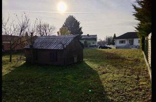 Grundstück zu kaufen in 7121 Weiden am See, Exklusives Baugrundstück in begehrter Seenähe - Weiden am See