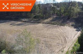 Grundstück zu kaufen in 7551 Stegersbach, Baugrundstücke in Stegersbach – flexible Größen (EUR 39,- bis 55,-/m²)