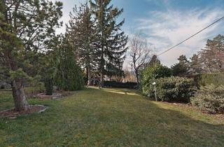 Grundstück zu kaufen in 1170 Wien, RARITÄT AM SCHAFBERG - 2 angrenzende Grundstücke mit Entwicklungspotenzial in äußerst begehrter Lage!