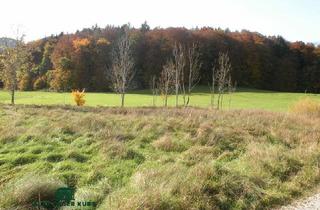 Grundstück zu kaufen in 5084 Großgmain, Grünland-Grundstück in Großgmain