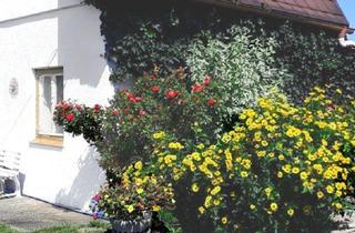 Grundstück zu kaufen in Donau, 1220 Wien, Alte Donau (ca. 200m) Grundstück in traumhafter Wasserlage