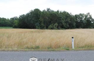 Immobilie kaufen in 2011 Sierndorf, Landwirte Aufgepasst!