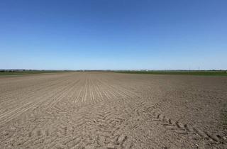 Grundstück zu kaufen in 3474 Kollersdorf, Landwirtschaftliche Flächen zu Verkaufen