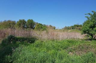 Grundstück zu kaufen in 3701 Großwiesendorf, Sonniges Baugrundstück- Ruhige Lage - ohne Bauzwang