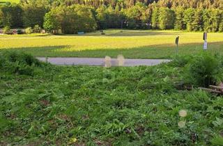Grundstück zu kaufen in 9562 Himmelberg, Schnäppchen - Ideal Für Junge Familien