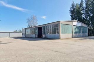 Lager mieten in 4872 Neukirchen an der Vöckla, Dein Zuhause Präsentiert: Gewerbehalle mit Großer Freifläche in Neukirchen an der Vöckla