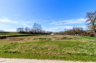 Grundstück zu kaufen in 4631 Krenglbach, Gewerbegrundstück in Frequentierter Lage