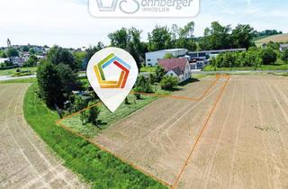 Grundstück zu kaufen in 4483 Hargelsberg, Freiraum mit Weitblick - Großzügiges Grundstück mit Eigener Zufahrt in Hargelsberg