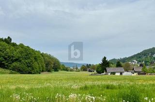 Grundstück zu kaufen in 9081 Reifnitz, 900m bis zum Wörthersee Wohnen, wo Andere Urlaub Machen